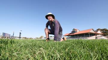 Racecourse manager at the Murrumbidgee Turf Club Mark Hart says the track is in perfect condition ahead of the 2024 Wagga Gold Cup Carnival. Picture by Les Smith