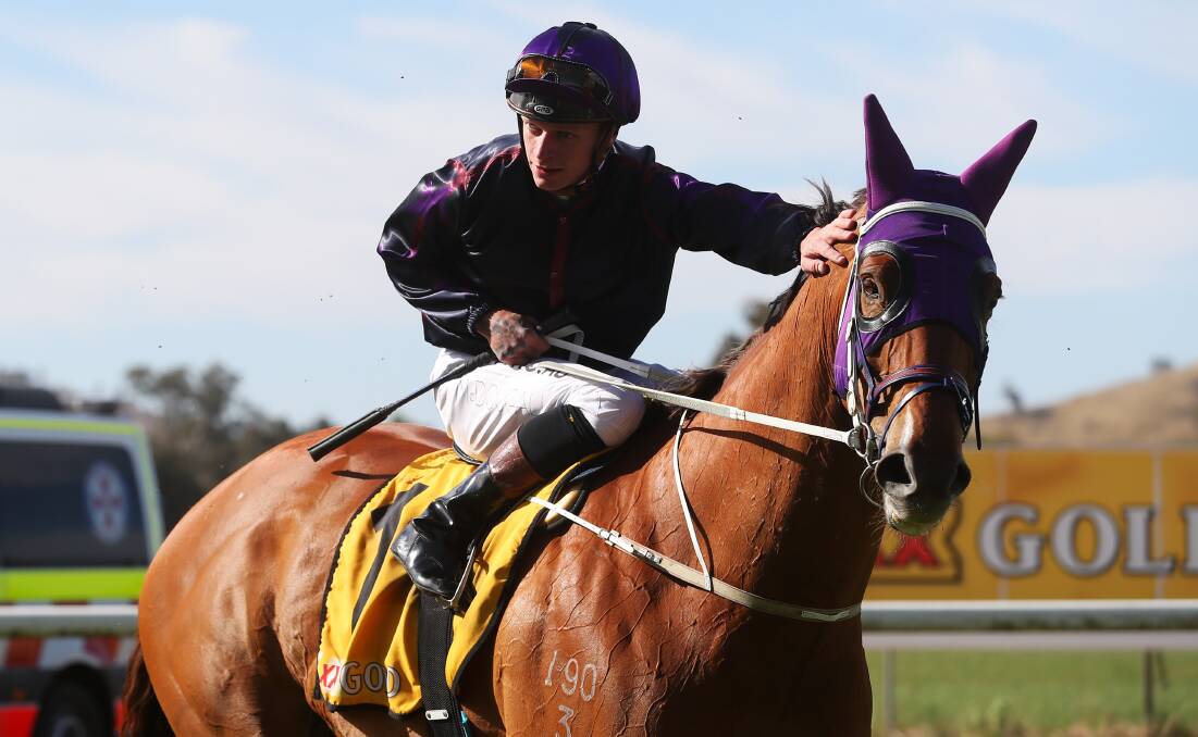 Don't Give A Damn, with Blaike McDougall in the saddle, after winning last year's Snake Gully Cup. Picture: Emma Hillier