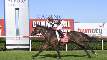 Fawkner Park, with Tyler Schiller in the saddle, winning the Albury Gold Cup in March. Picture by The Border Mail