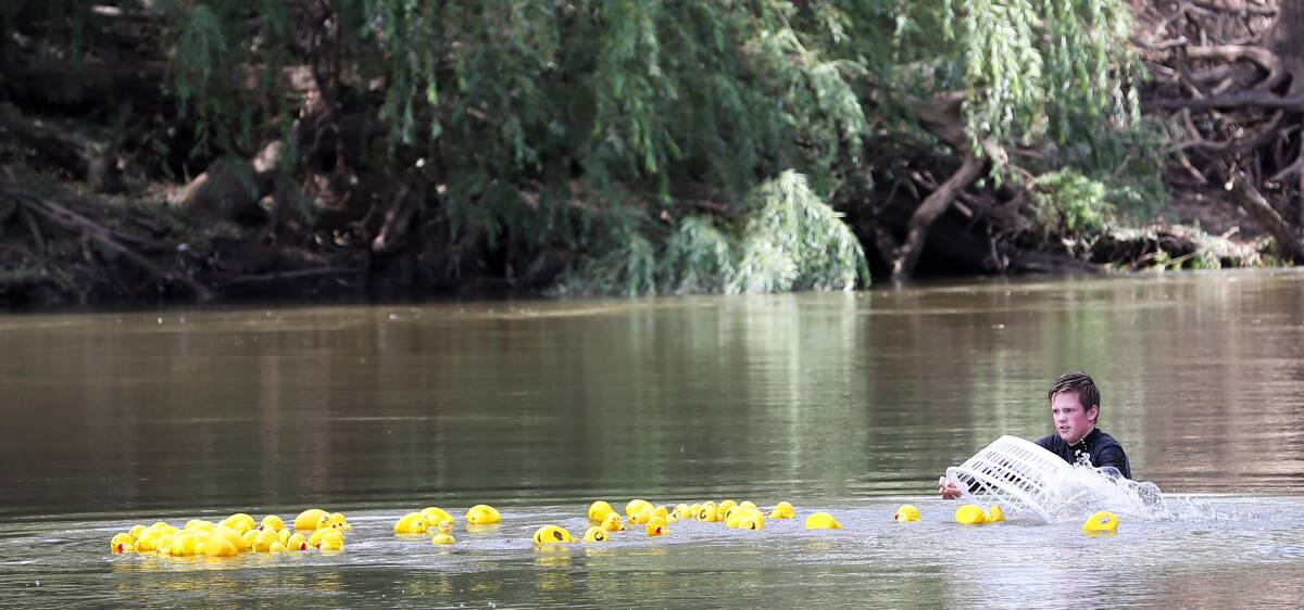 QUACK RACE: Low water levels in the river forced the cancellation of the Gumi Race, but it was replaced with the inaugural 'World Championship Rubber Duck Race'.