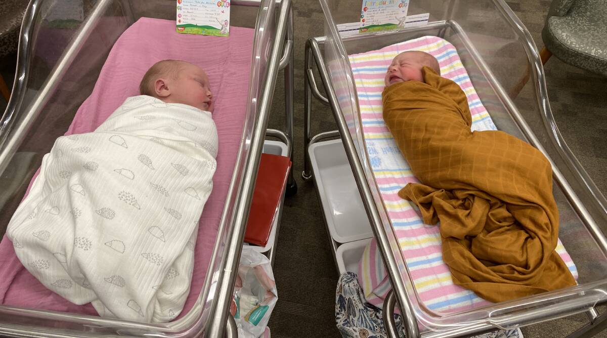 CHRISTMAS BABIES: Thea Jen Blackman, left, and Arlo James Winnell, right. 