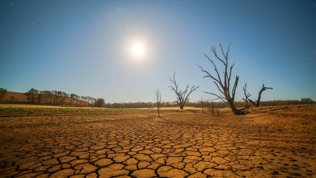 Bland, Hay and Lockhart shire councils have all made submissions to a NSW Parliament inquiry into support for drought affected communities. Picture: Shutterstock