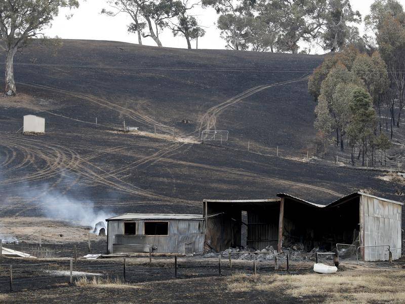 Fire crews are worried about a forecast of high temperatures and strong winds in the Adelaide Hills.