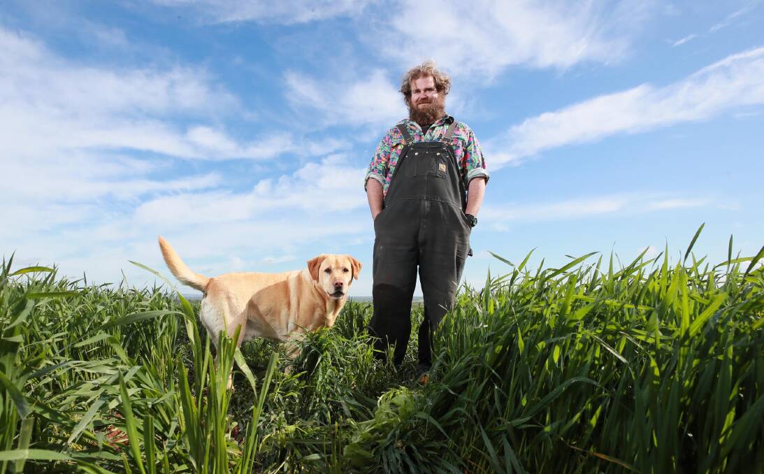 Farmer Simon Moloney, pictured in 2020 with Labrador Brian, says he's yet to evaluate the effect of Wagga's cold spring on the quality of his crops. Picture by Les Smith