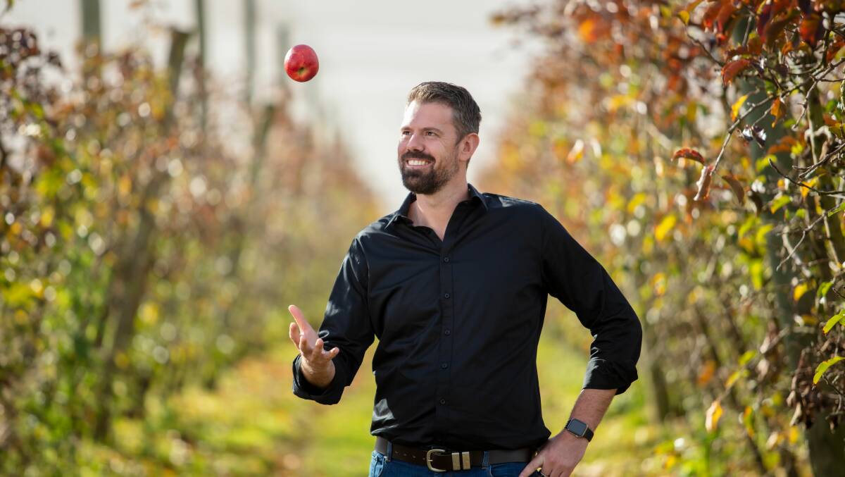 Red Rich Fruits director Matthew Palise is thrilled to bring the new Cosmic Crisp apple to Australia. Picture contributed
