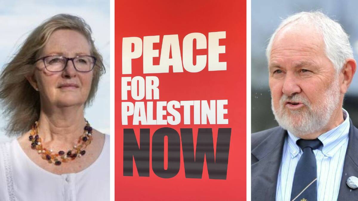 Wagga councillor Jenny McKinnon voted against a motion she originally tabled calling for peace in Palestine after an amendment by Cr Rod Kendall won majority support. Pictures Madeline Begley, file