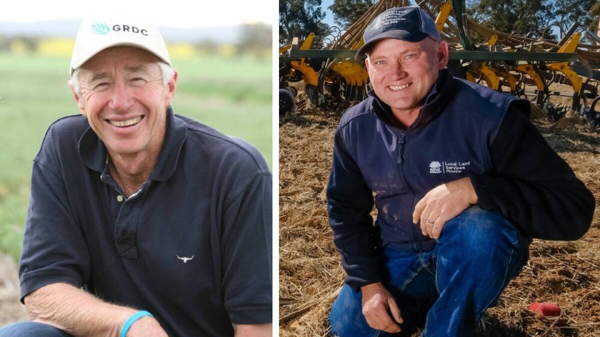 Riverina counting the cost as rains delay harvest, hit profit margins ...