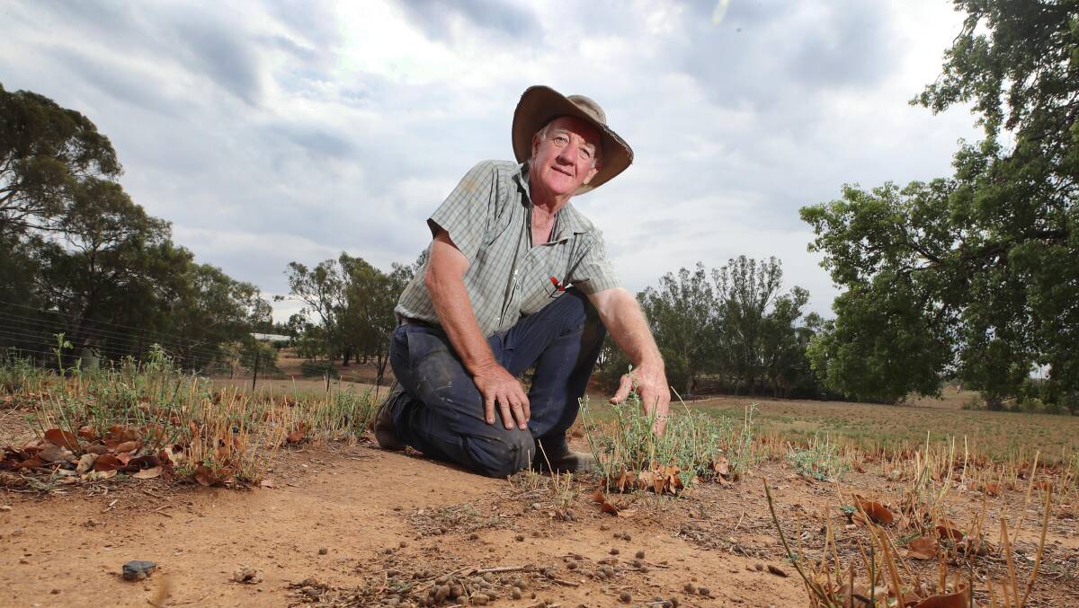 NSW Farmers Wagga branch president Alan Brown says microgrids are great - but not at the expense of prime agricultural land. File picture