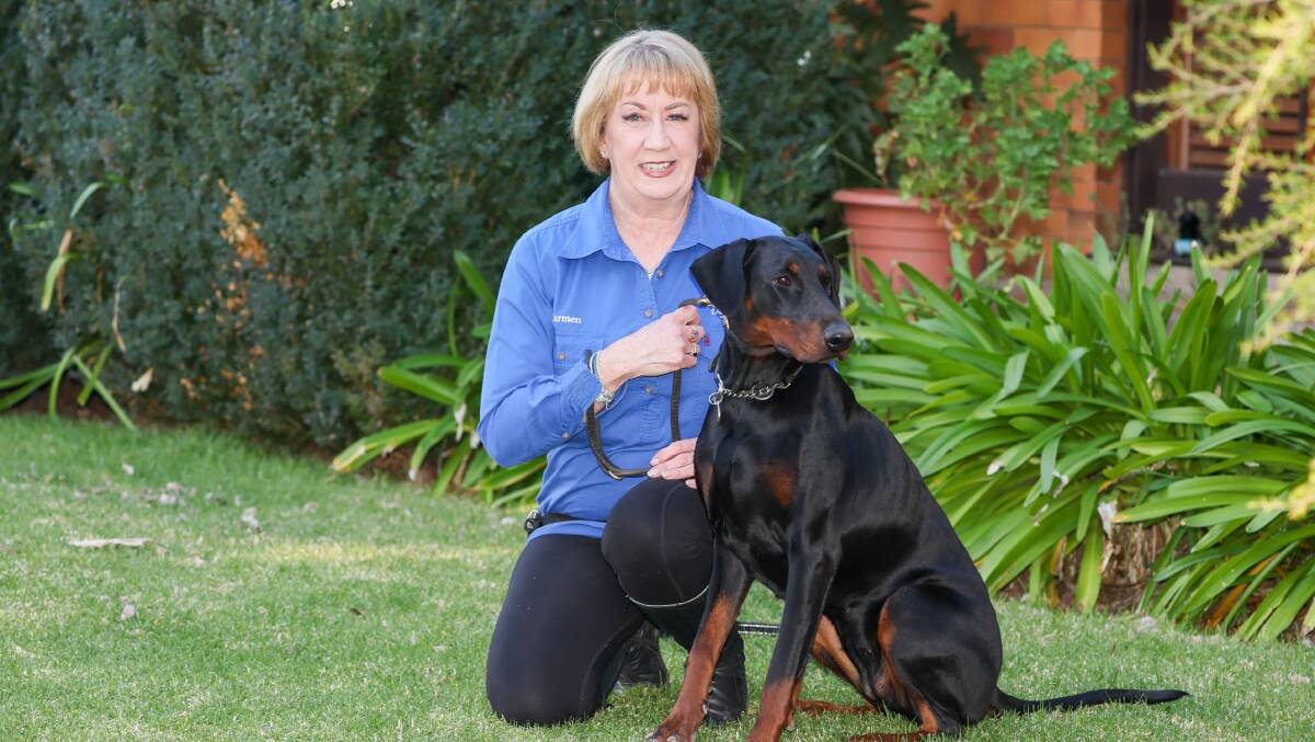 Dog trainer Carmen McGill works with owners to train dogs in Wagga. Picture by Les Smith