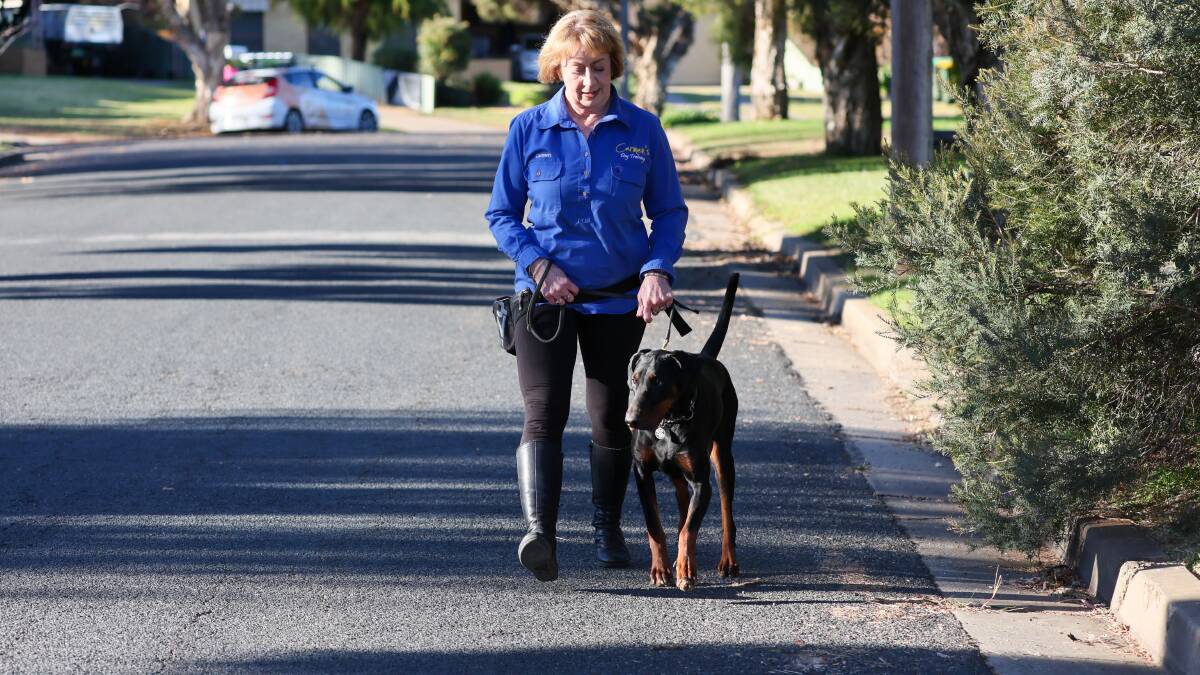 Bad dog: Man's best friend turns into a daily threat for Wagga posties