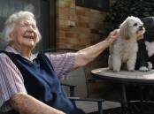 102-year-old Joyce Coffey with shih tzu Ellie May at The Forrest Centre residential aged care home in Wagga. Picture by Bernard Humphreys