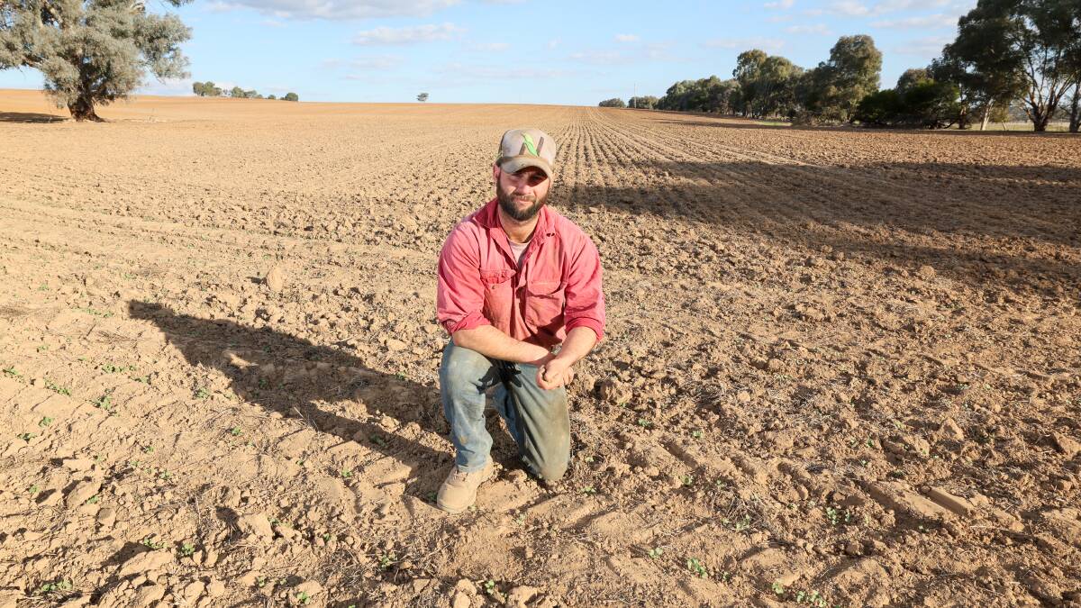 Ladysmith farmer Matt Liersch is optimistic May rain will do the trick for crops sown over the last few weeks. Picture by Tom Dennis