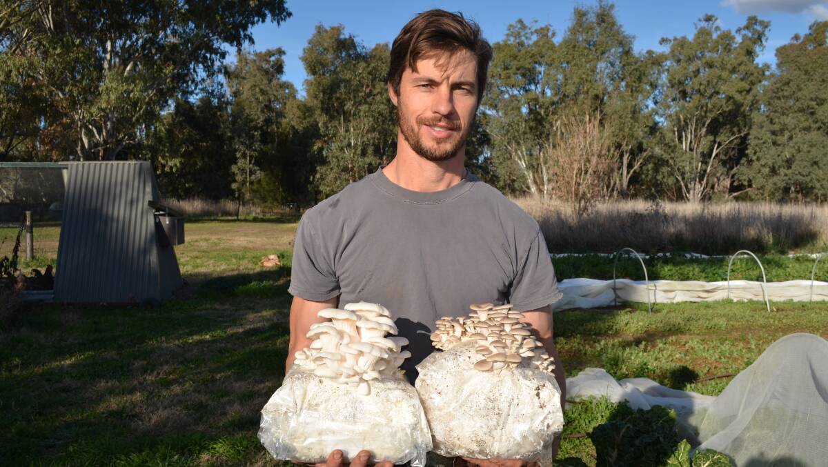 Rick Storrier grows his own mushrooms, but was disappointed at this year's foraging season hampered by dry weather. Picture by Jeremy Eager