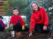 Sturt Public School students James Bowman (year 1) and Chelsea Dwyer (year 6) get their hands dirty planting wattle as part of Schools Tree Day on Friday, July 26. Picture by Bernard Humphreys