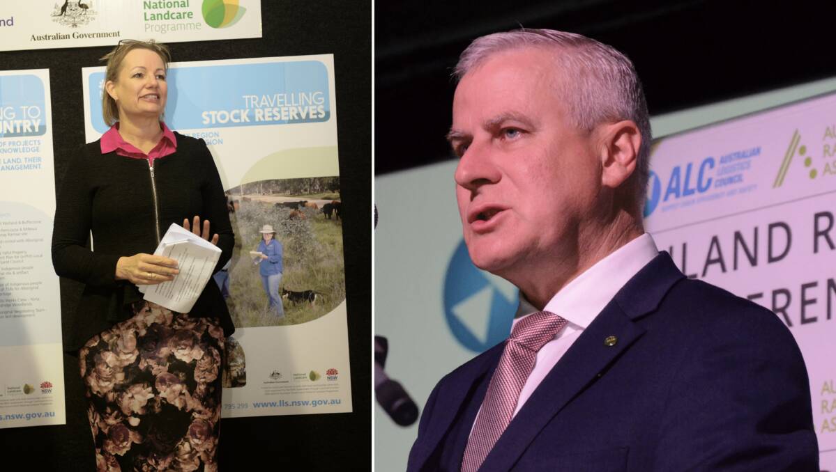 Farrer MP and Deputy Leader of the Opposition Sussan Ley (picture by Rachael Webb) and Riverina MP Michael McCormack react to the 2024/25 federal budget. Picture by Mark Griggs