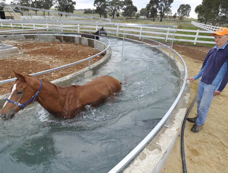 READY TO GO: Wagga trainer Tim Donnelly casts an eye over Devised at the new water walker at Coorparoo Spelling and Rehabilitation Centre. Picture: Les Smith