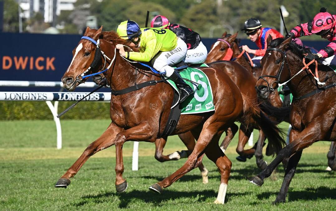 Salute Again has been disqualified from his latest Wagga win but trainer Wayne Carroll has had his appeal against a fine upheld.