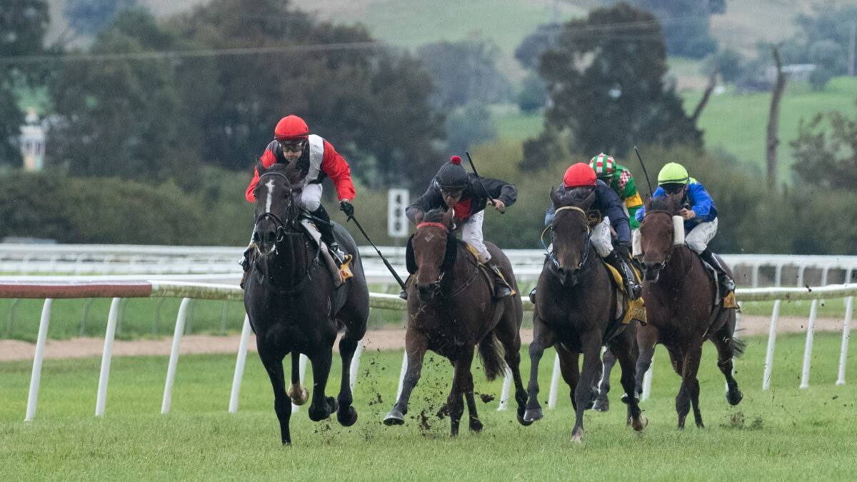 The Doctor's Son winning the Gundagai Cup. Picture by Madeline Begley