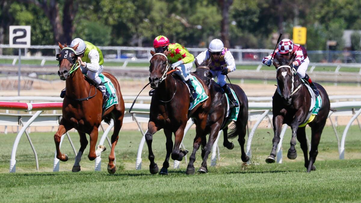 Sizzling Cat, Demanding Mo, Dream Inherit and Rocket Tiger fight out the finish to the Rodney Parsons OAM Benchmark 82 Handicap (1400m) at Murrumbidgee Turf Club on Thursday. Picture by Les Smith