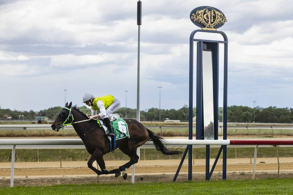 Photo Man scoring a dominant win on the Wagga Riverside track at Murrumbidgee Turf Club on Saturday. Picture by Ash Smith