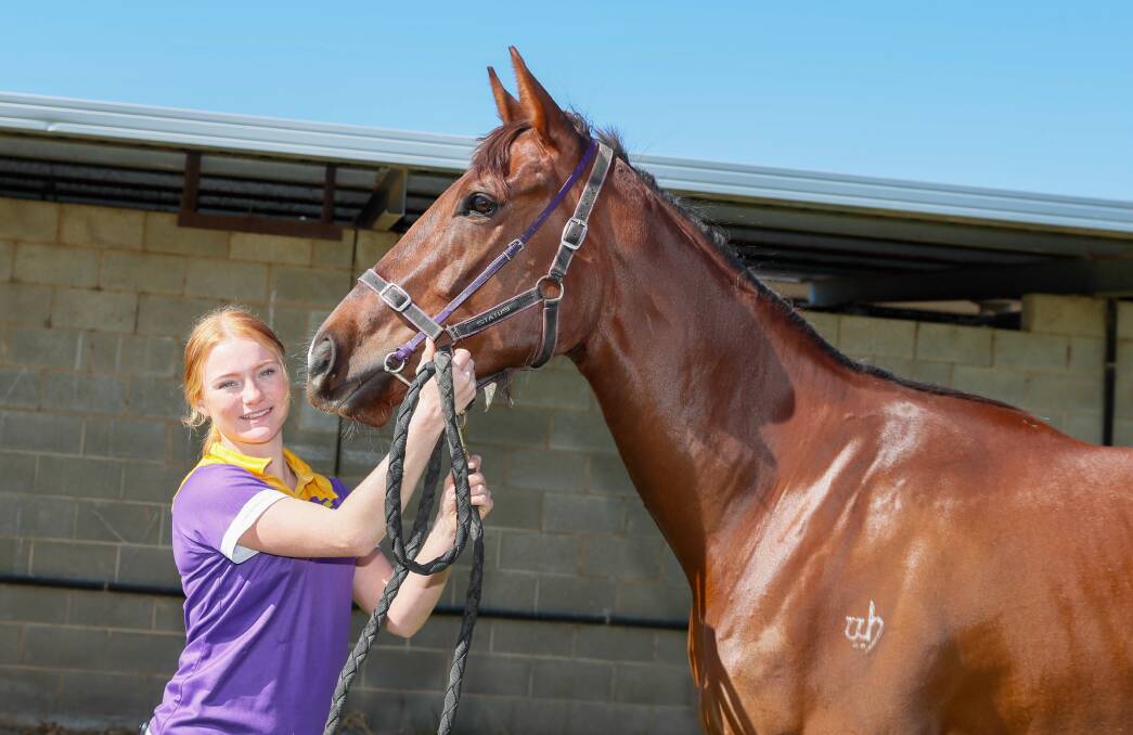Brooke Whyte with Tinge Of Ginge at Doug Gorrel's stables ahead of his return to racing at Wagga on Saturday. Picture by Les Smith