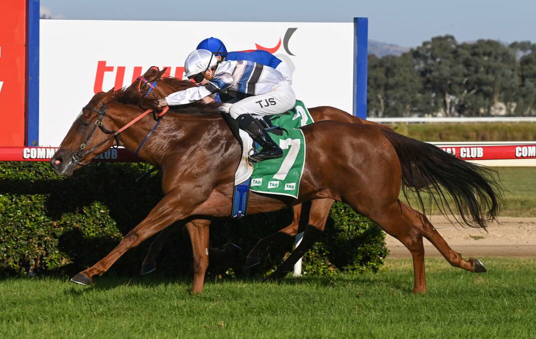 Boss Lady Rocks wins at Albury last year. Picture by The Border Mail