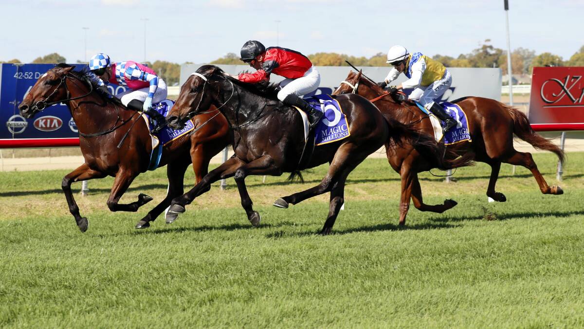 Nick Heywood guides Toretto to victory in the Murrumbidgee Cup (1800m) at Murrumbidgee Turf Club on Sunday. Picture by Les Smith