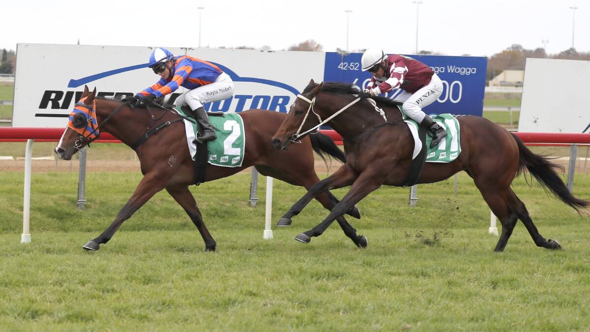 Lunar Shoes winning last year's Lamont Classic at Murrumbidgee Turf Club. Picture by Les Smith