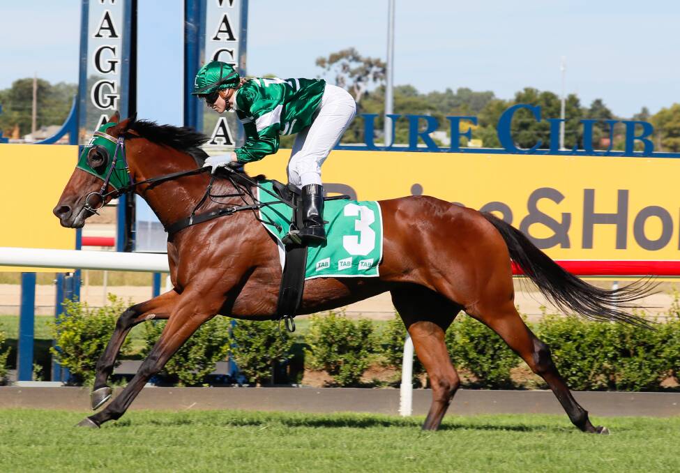 Kayla Nisbet guides Asgarda to an easy win in the Country Championship Preview Class Four Handicap (1300m) at Murrumbidgee Turf Club on Thursday. Picture by Les Smith