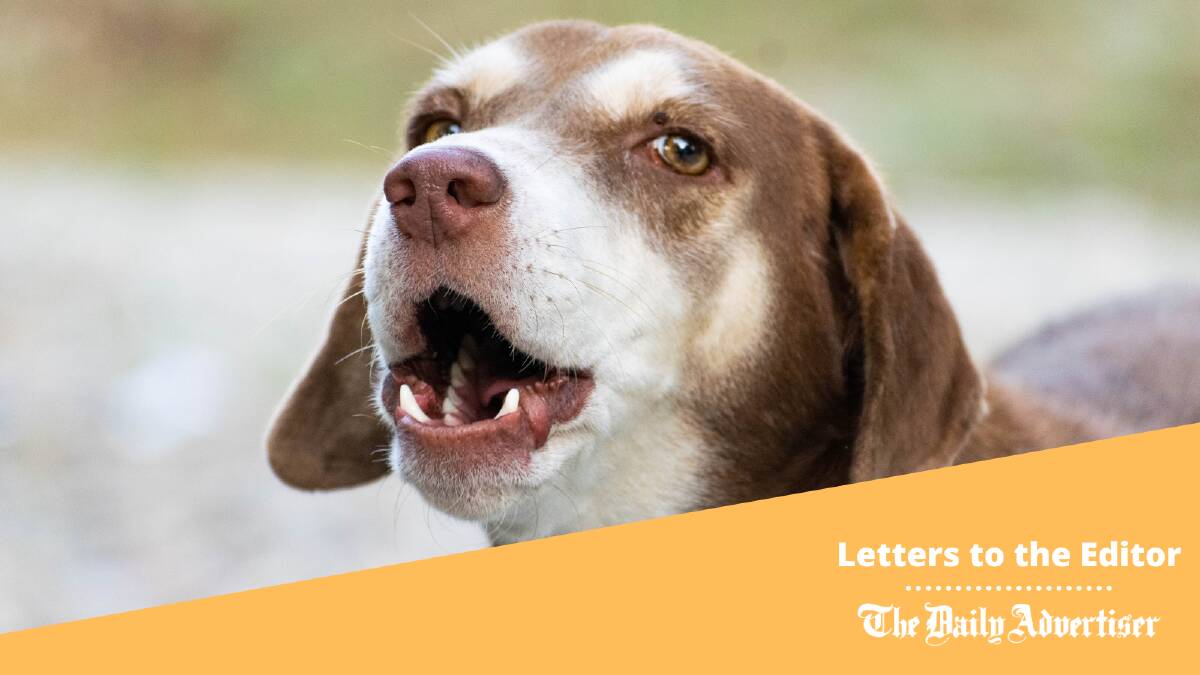 The internet is full of tips to help train dogs out of bad habits, writes today's correspondent.