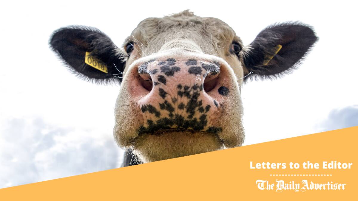 Let's not forget there are animals caught up in the dairy strike, today's correspondent argues.
