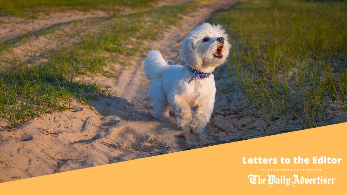 What is it about dog owners who let their pooches bark all day, asks today's correspondent.