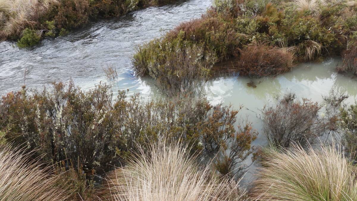 Sediment-laden water in Nungar Creek in the Kosciuszko National Park. Picture supplied