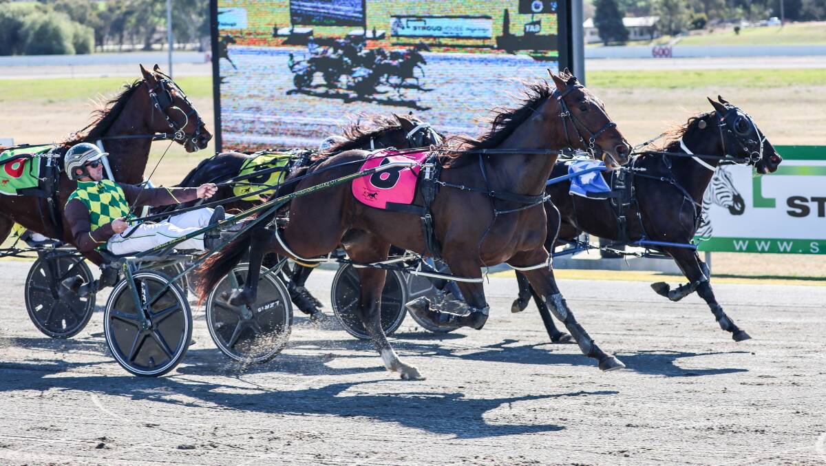 Humble charges home from the back of the field to win the NSW Bred Three Year Old Heat at Riverina Paceway on Friday. Picture by Les Smith