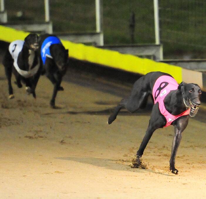 EASY DOES IT: Sharina Shadow ($15.50) clears away from her rivals to score an upset win in the Tasty Tucker Maiden by five lengths at Wagga Showground on Friday night. Picture: Kieren L Tilly