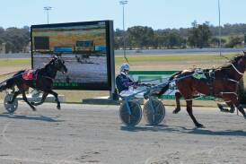 Blake Jones drives Knock Out victory, the first of two winners for the Narrandera reinsman at Riverina Paceway on Friday. Picture by Bernard Humphreys