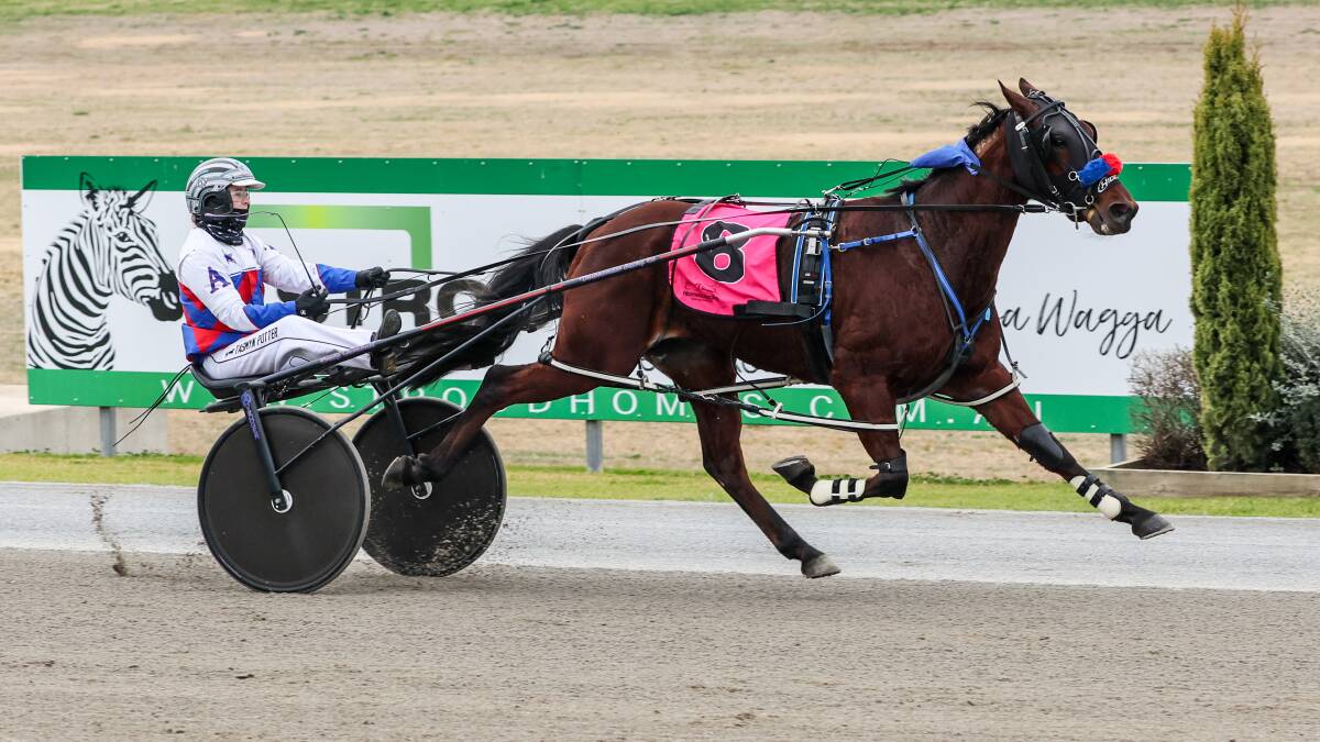 Otis Rising made it three straight wins at Riverina Paceway on Friday. Picture by Les Smith