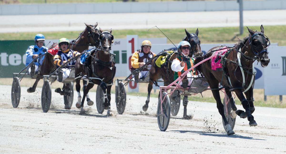 James McPherson guides Freskos Art to a breakthrough victory for Jindera trainer John Doherty at Riverina Paceway on Monday. Picture by Madeline Begley