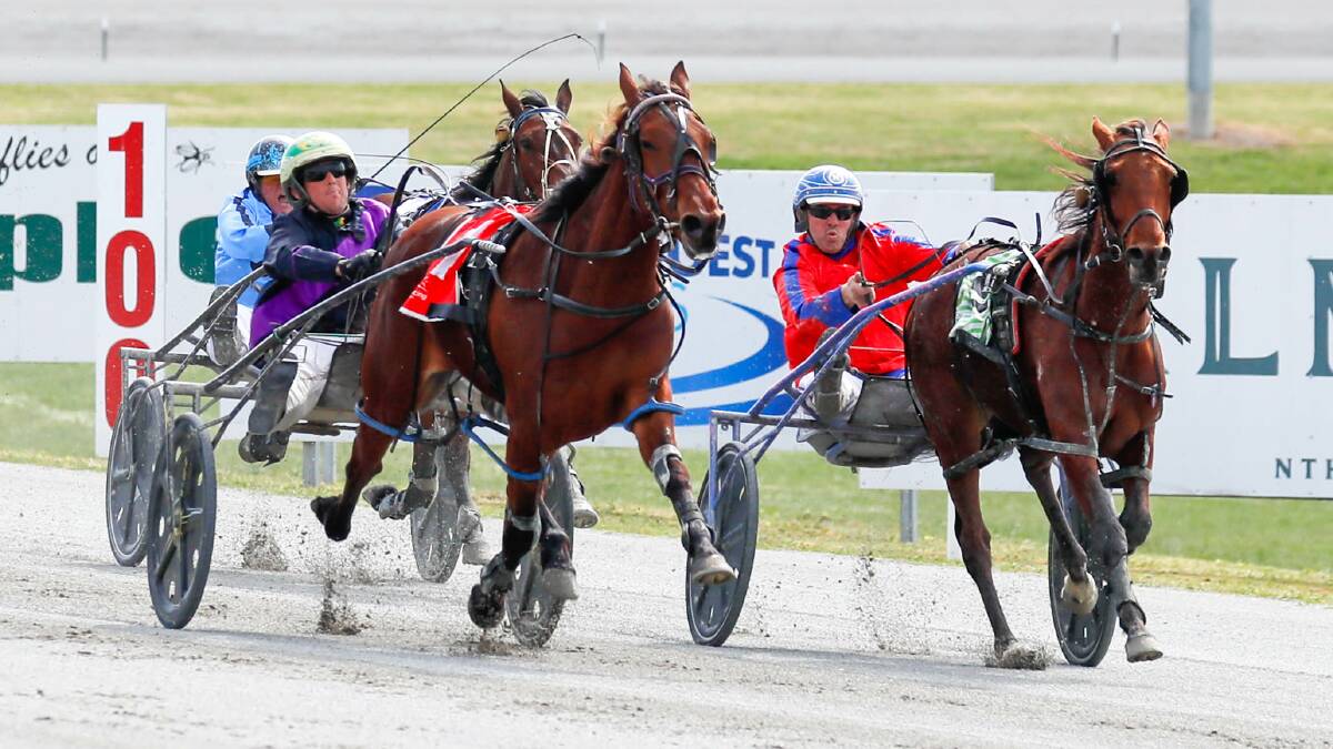 Blake Micallef drives Call Me Dragon to a narrow victory at Riverina Paceway on Friday. Picture by Les Smith