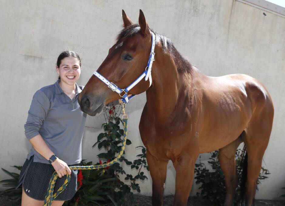 Stablehand Emily Harrison with Cliff House ahead of his next assignment at Murrumbidgee Turf Club on Friday. Picture by Les Smith