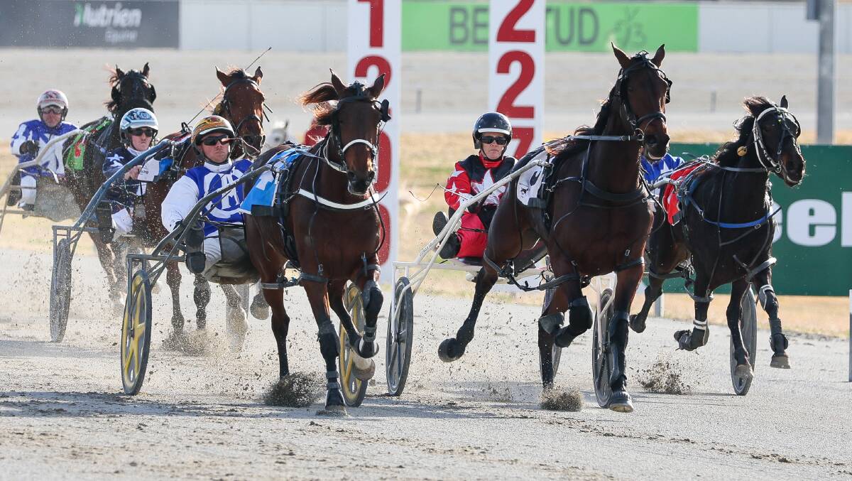 Kathys Free was one of a number of Victorian-trained horses to taste success at Riverina Paceway on Friday. Picture by Les Smith
