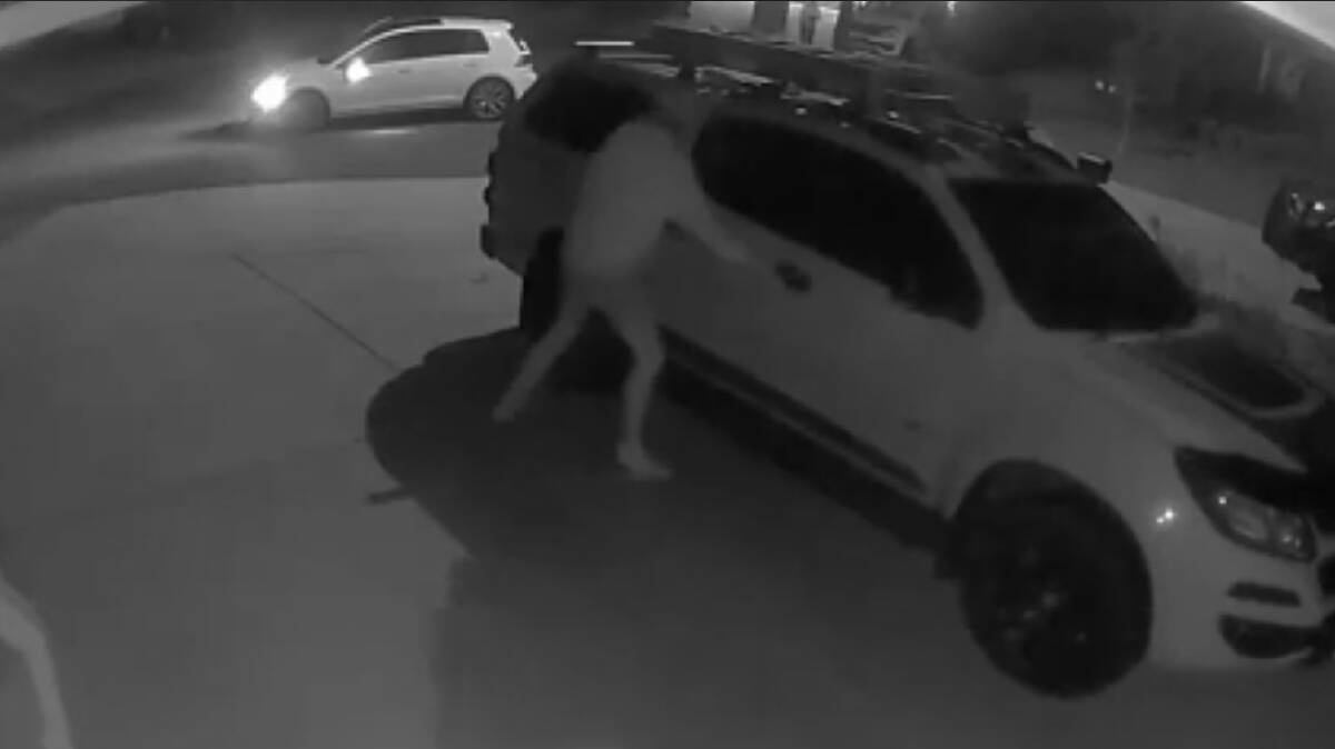 A Boorooma resident captured the moment someone attempted to gain entry into her vehicle on Sunday night on CCTV. Picture supplied 