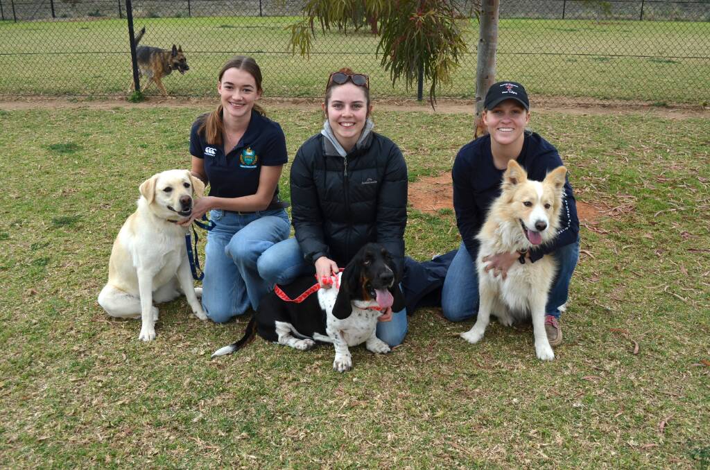 Fifth year veterinary students and VSA Committee members Tempe Cropper, Emily Healey and Jasmine Wholton with Freya, Nancy and Bentley. Picture by Taylor Dodge