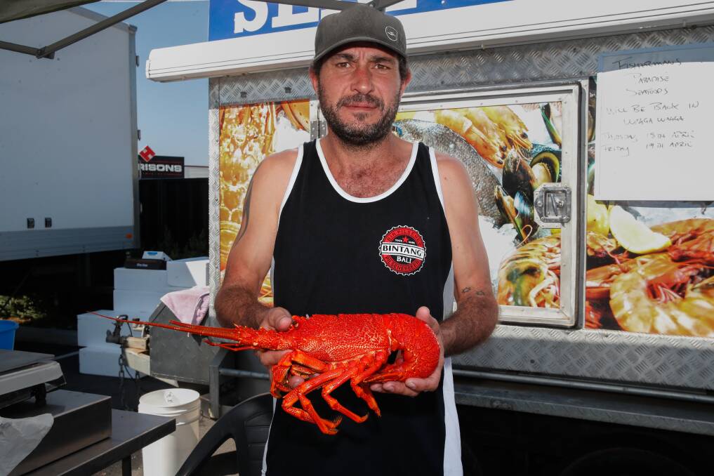 Fisherman's Seafood Paradise's Colin Dedini said fresh lobster is a must have this Good Friday. Picture by Tom Dennis