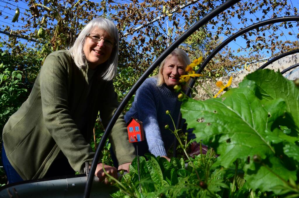 Wagga Demonstration Gardens volunteer of 20 years Janet White with Narelle Johnson. Picture by Taylor Dodge