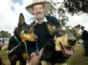 Peter Austin pictured here with his kelpies at the Henty Machinery Field Days in 2005; the nationally renowned trainer is winding up his breeding operations and will hold an online sale later this month. Picture Border Mail archives