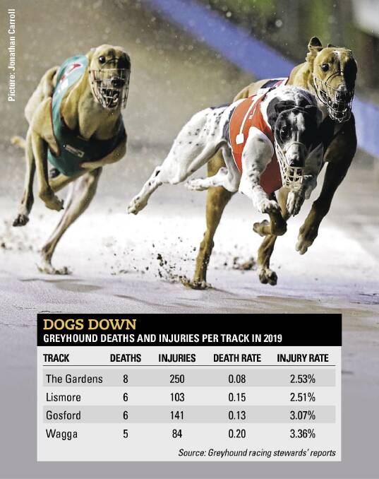 Greens say Wagga greyhound racing track 'one of state's deadliest