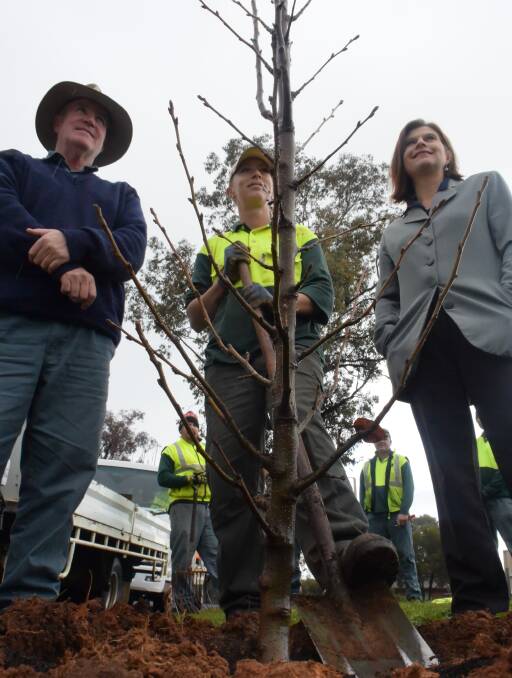 TREE PROGRAM: Planting an ornamental pear tree in Dove Street are, from left, Jim Dunn, arborist Fiona Marmont and Janice Summerhayes. Picture: Ken Grimson