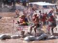 The Gumi Race on the Murrumbidgee River in 1983. Supplied picture