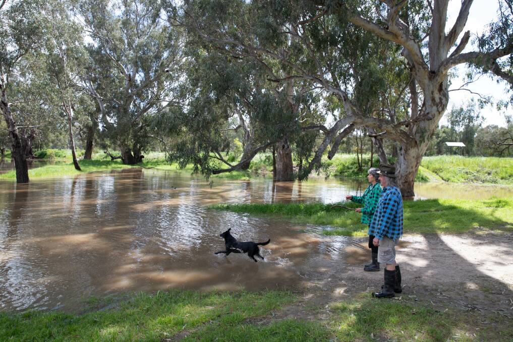 Oura residents Den Pleming and Eugene Jocic check on flooding at Oura Beach on Sunday morning and toss sticks for dog Transit. Picture by Madeline Begley.